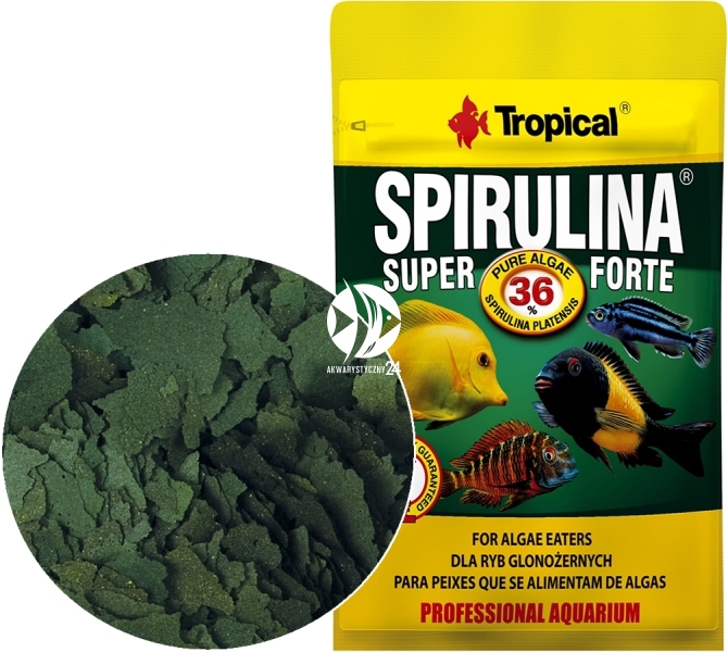 TROPICAL Spirulina Super Forte 12g Saszetka Akwarystyczny24 Pl