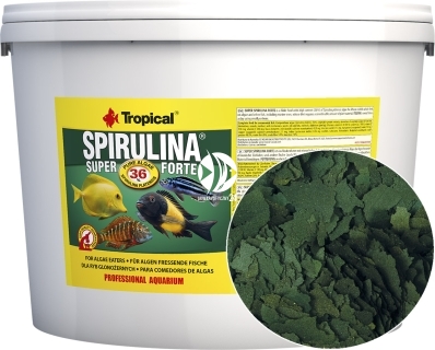 TROPICAL Spirulina Super Forte 11L/2kg (70318) - Roślinny pokarm płatkowy z wysoką zawartością spiruliny (36%)