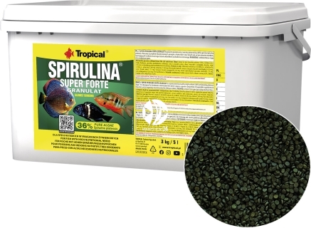 TROPICAL Spirulina Super Forte Granulat - Roślinny pokarm w postaci tonącego granulatu z wysoką zawartością spiruliny (36%)