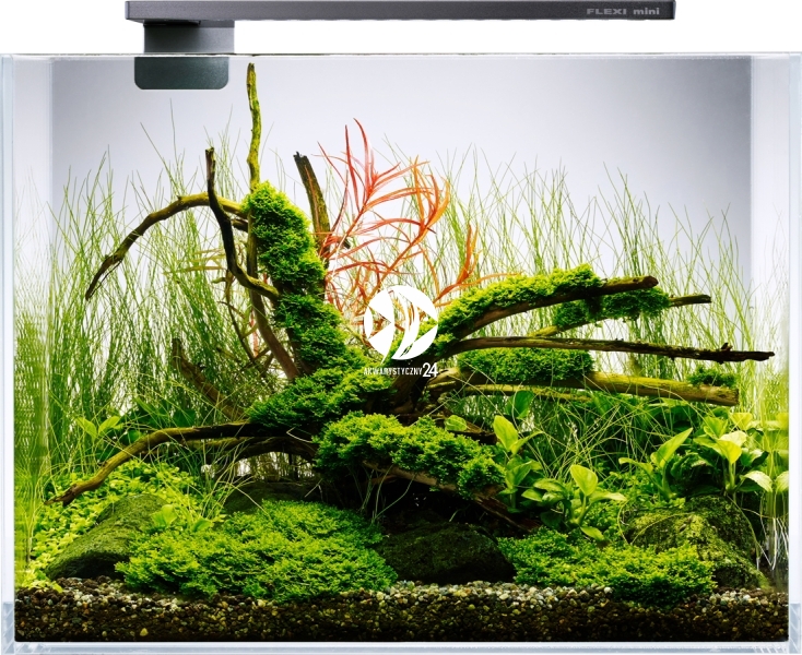 Flexi mini aquarium hotsell